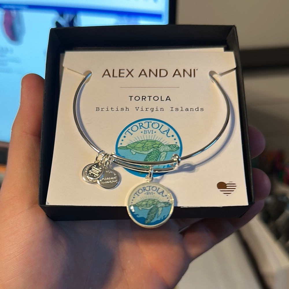 Alex and Ani Silver Tortola Charm Bracelet